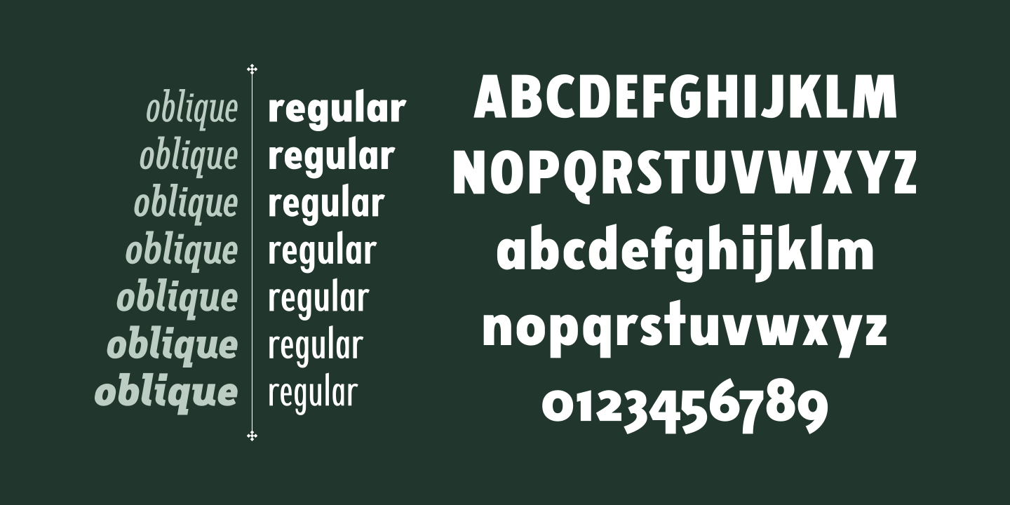 Przykład czcionki Fellbaum Grotesk Medium Italic